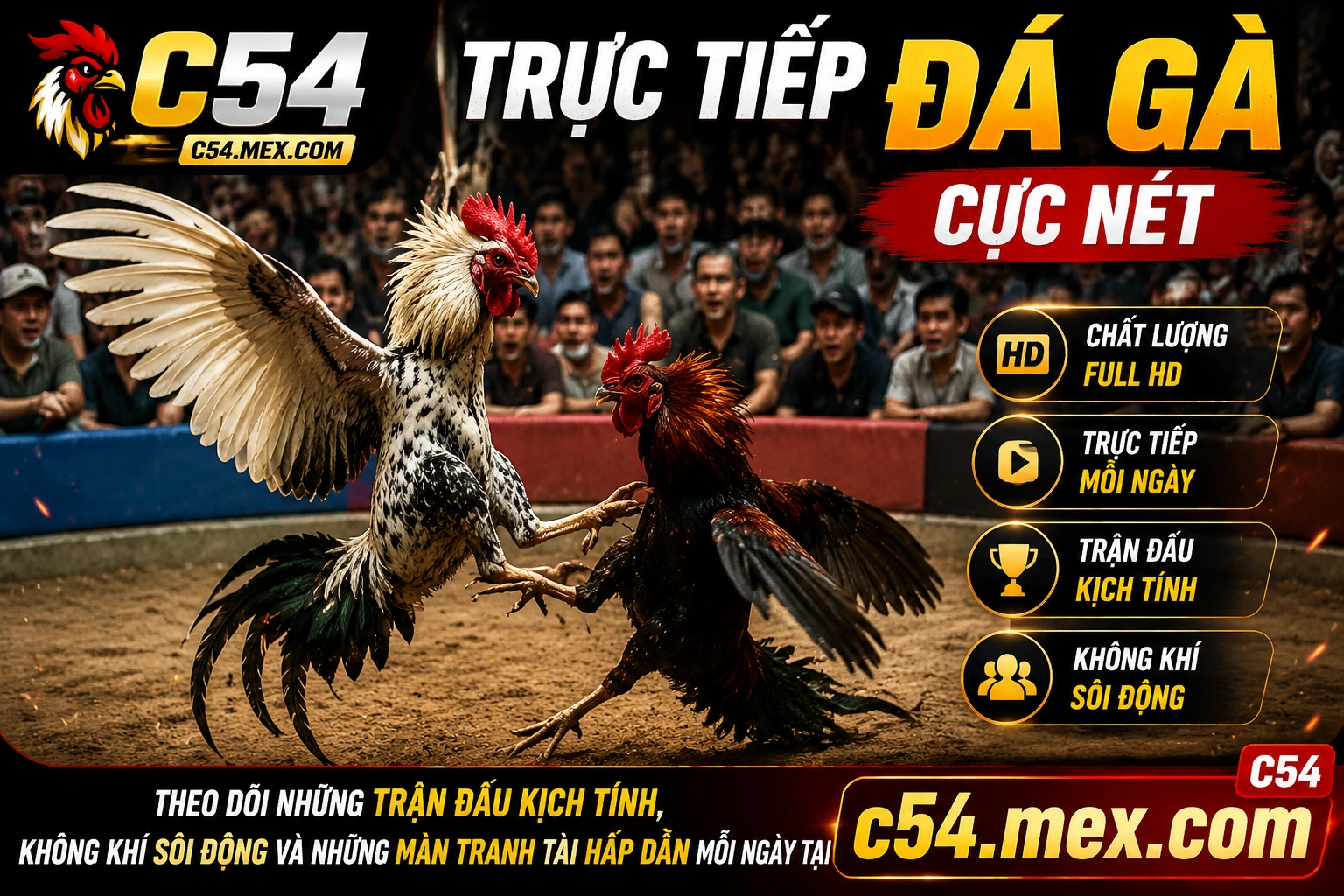 Trải nghiệm người chơi tại C54