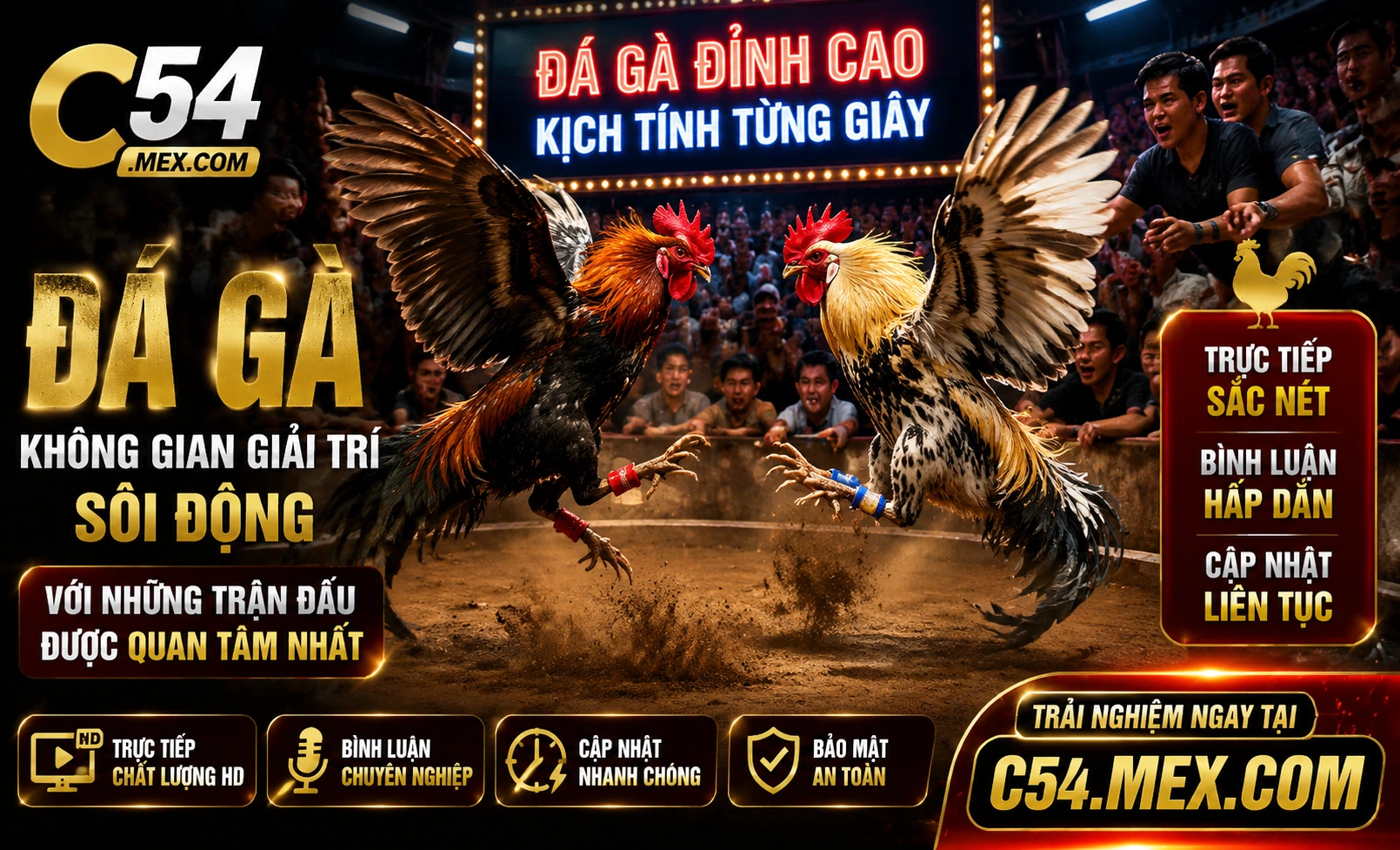 Phòng đá gà C54 1