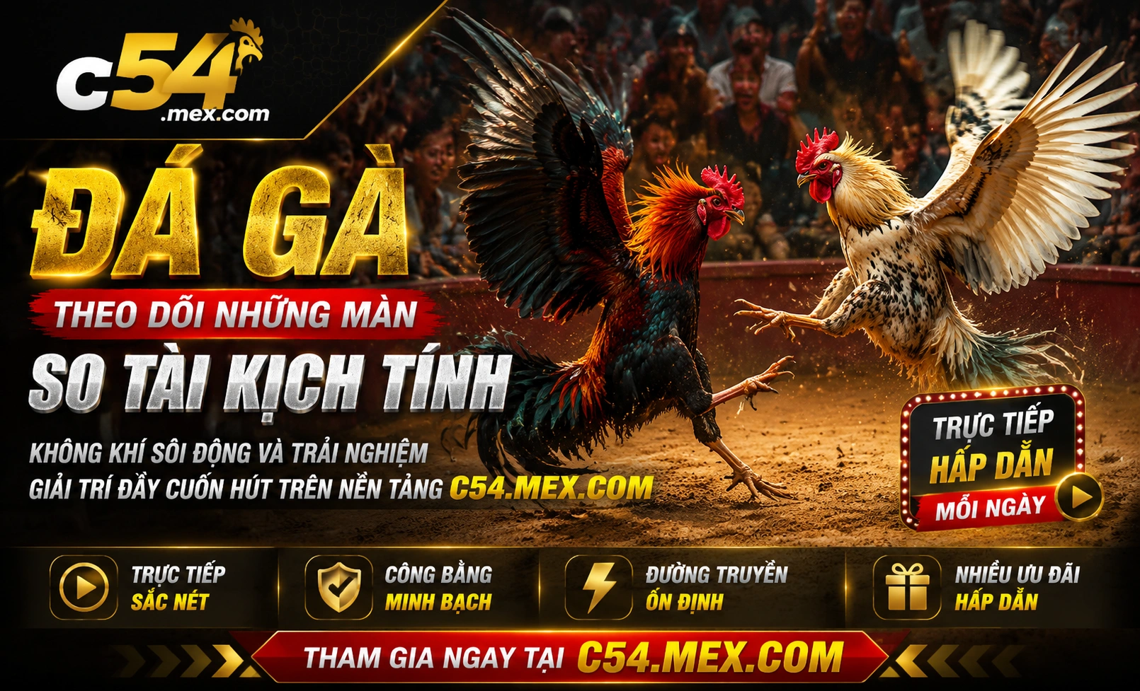 Phòng đá gà C54 2