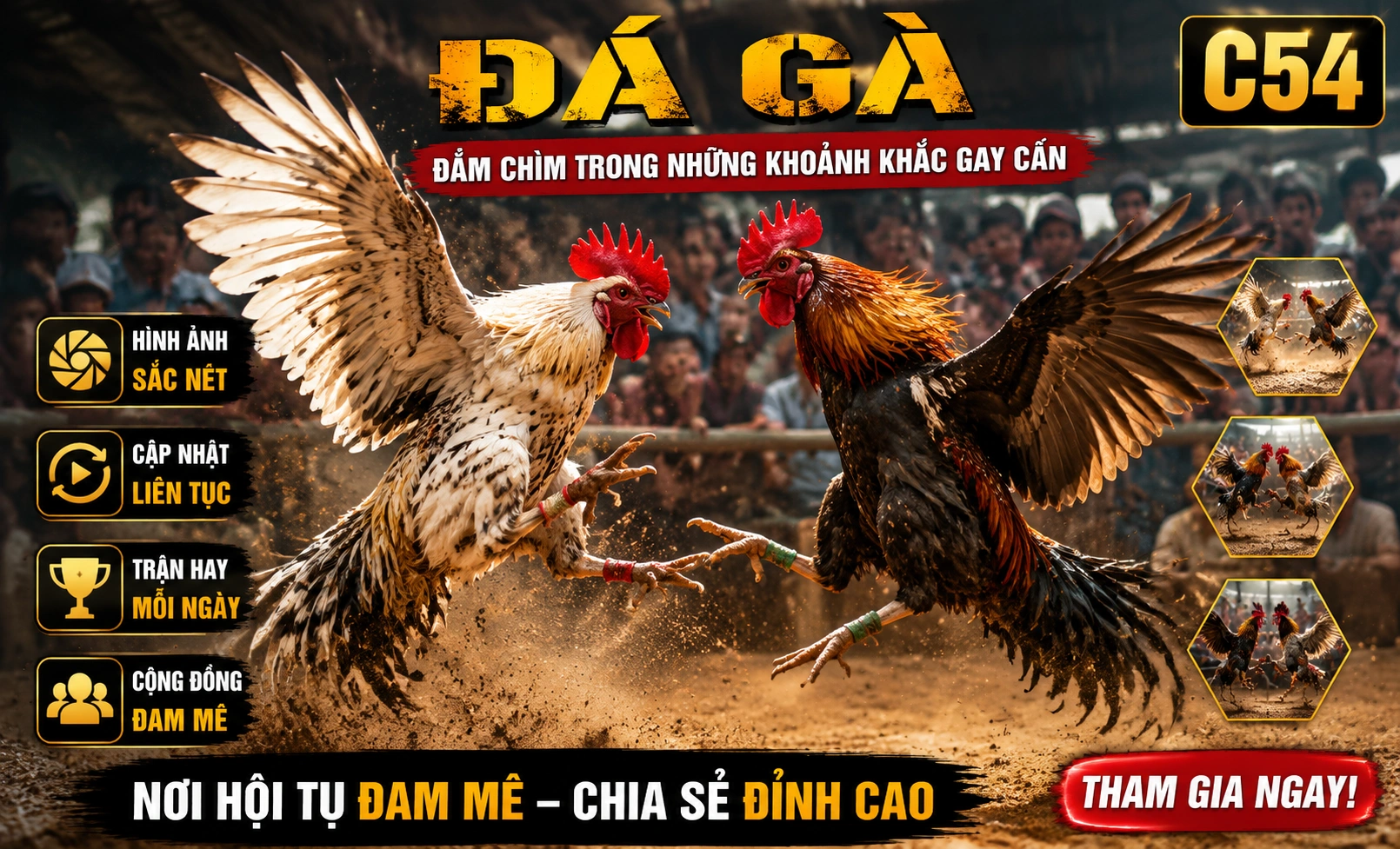 Phòng đá gà C54 3